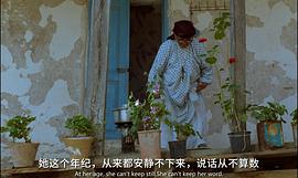 橄欖樹下的情人 圖5