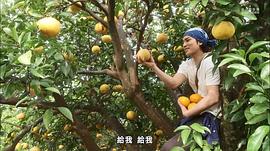最初的歌 圖1