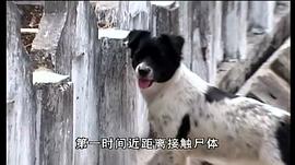 怪談 圖4
