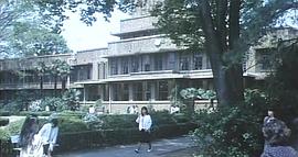 女偵探連發(fā) 圖9