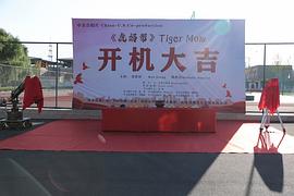 虎媽幫 圖3