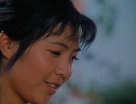 楓 圖1