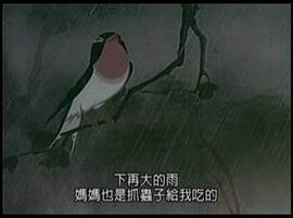 小燕子 圖6