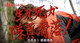 探險隊找到黃金棺材的電影 圖7
