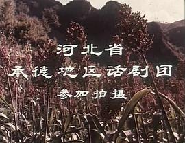 青松嶺 圖2