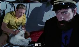 橙子為什么是藍的 圖2