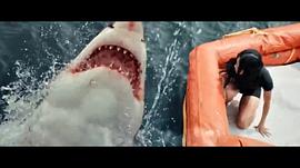 鲨鱼血脉的电影 图10