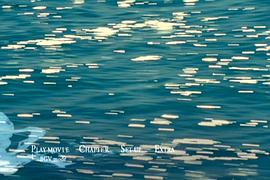 海洋世界纪录片国语版高清 图1