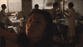 東京金盞花 圖4