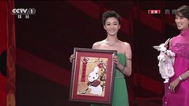 2011年中央電視臺春節(jié)聯(lián)歡晚會 圖7
