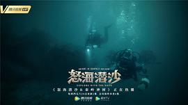 盗墓笔记之怒海潜沙&秦岭神树 图5