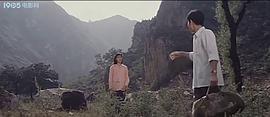 1970年中国电影 图3