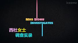 西杜夫人調(diào)查實(shí)錄 圖3