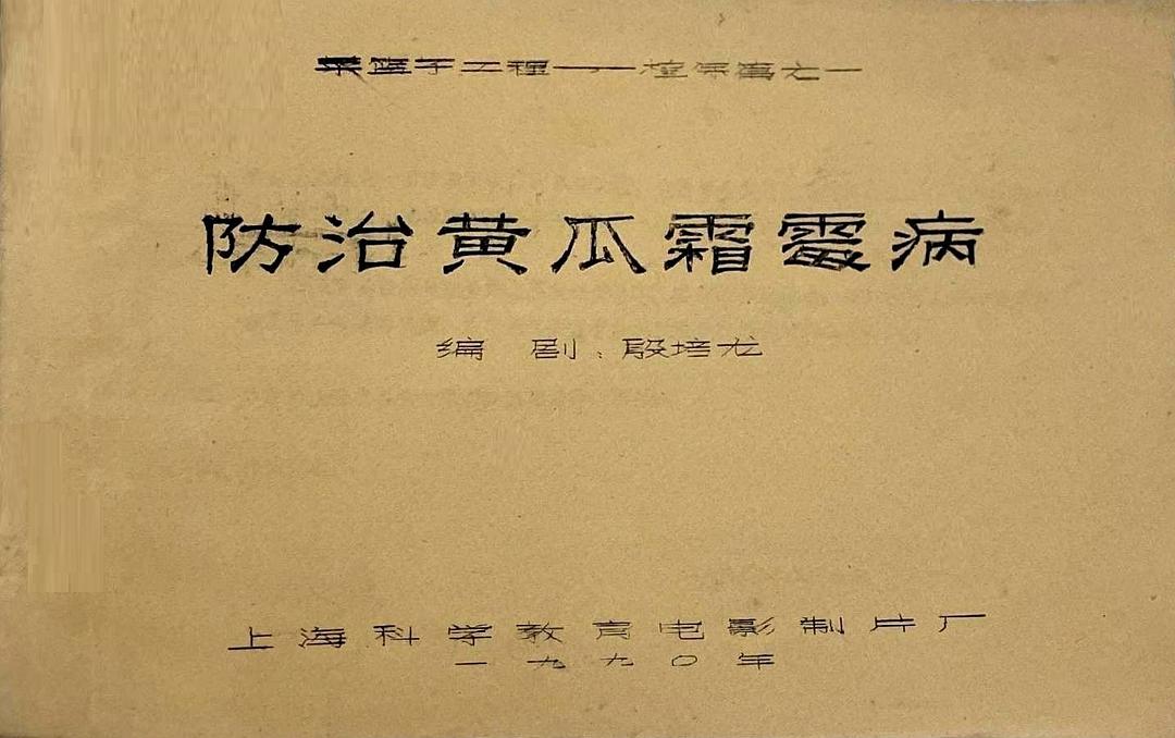 防治黃瓜霜霉病