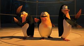 马达加斯加的企鹅快乐国王节 图3