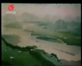 小白鴿 圖4