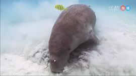 世上最藍的海 圖1