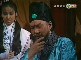 癲鳳狂龍 圖10