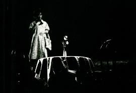夜會 Vol.5 太息花色今更易 此身虛度春雨中 圖8