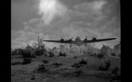 飞行堡垒电影二战影片 图3