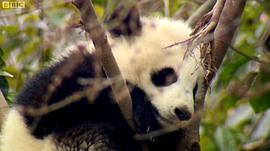 發(fā)現(xiàn)中國：美食之旅 圖9