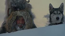北极最后的猎人纪录片 图4