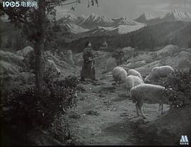五彩路 圖8