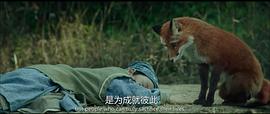 狐狸书生动画片全集免费观看 图10