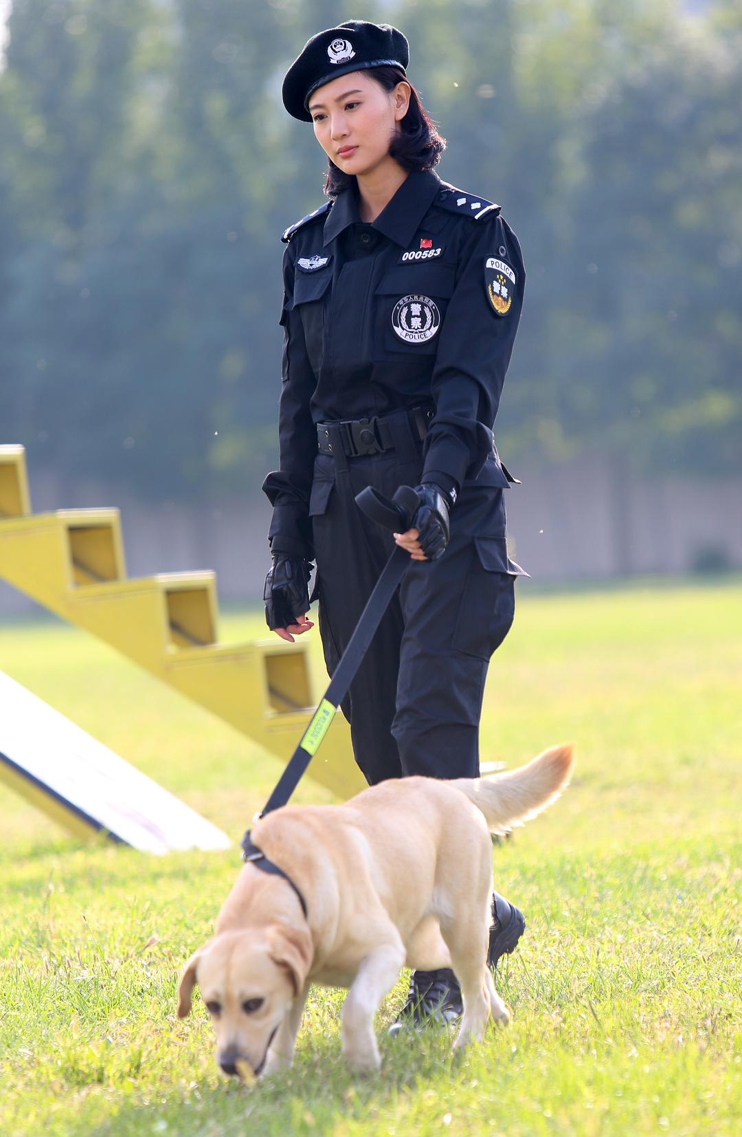 警花与警犬剧照观看图片