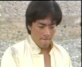 五朵金花的兒女 圖3