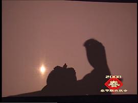2008年春節(jié)晚會 圖7