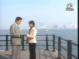 90年代香港电视剧大全电视剧 图10