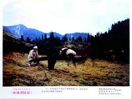 《熊猫回家路》电影 图9