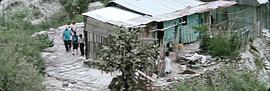 天地悠悠 圖4