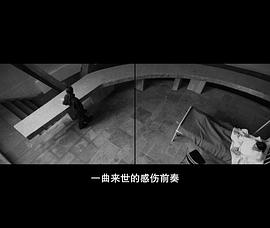 體外 圖6