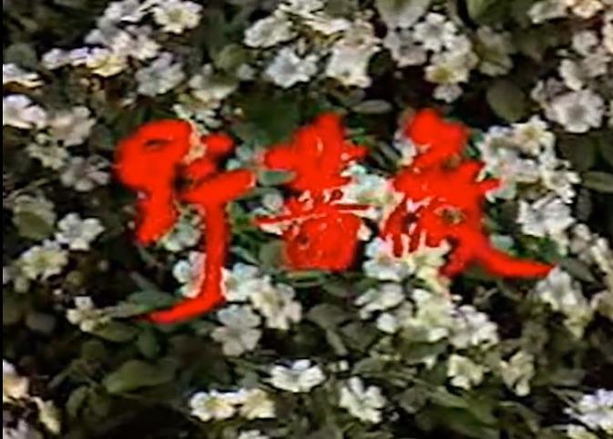 野薔薇