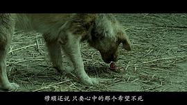 銅雀臺(tái)電影內(nèi)容簡介 圖8