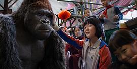 韩国大猩猩打棒球电影名字 图2