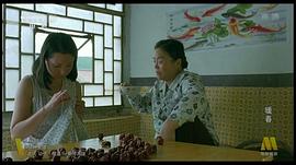 暖春 圖5