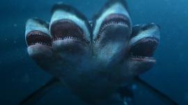五头鲨鱼电影完整版免费 图8
