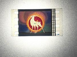 九色鹿 圖5