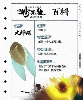 妙先生諷刺什么 圖3
