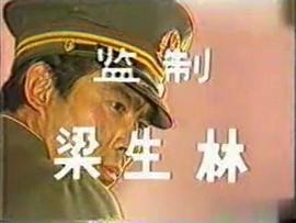 寶鏡 圖5