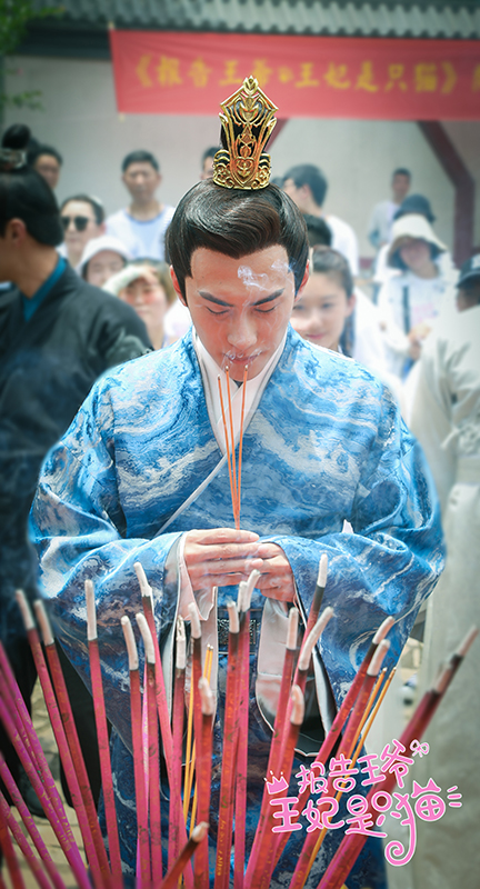 王妃是只貓1免費觀看