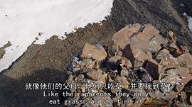 生命故事 圖9