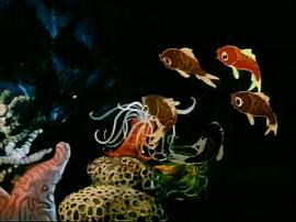 小鯉魚跳龍門 圖5