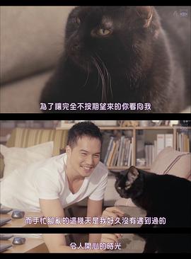 被流浪猫捡到的男人 图8