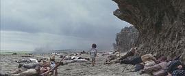血戰(zhàn)沖繩島 圖7