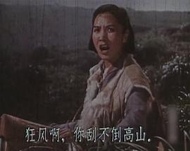 红鹰 图9