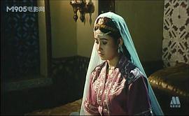 阿曼尼莎汗王妃 图5